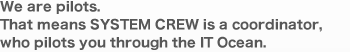 We are pilots.That means SYSTEM CREW is a coordinator,who pilots you through the IT Ocean.