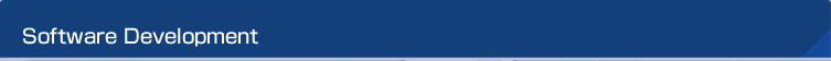 Software Development